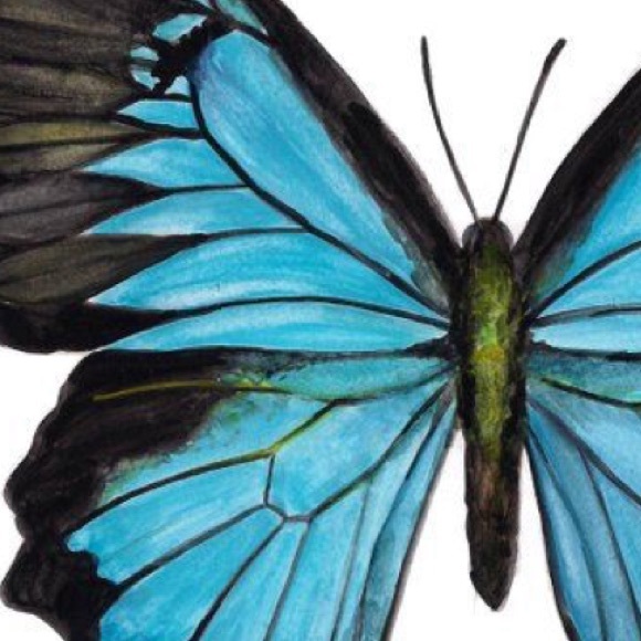 Meet your Posher, Sofia - Picture 1 of 1